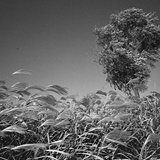 dailyPhoto8